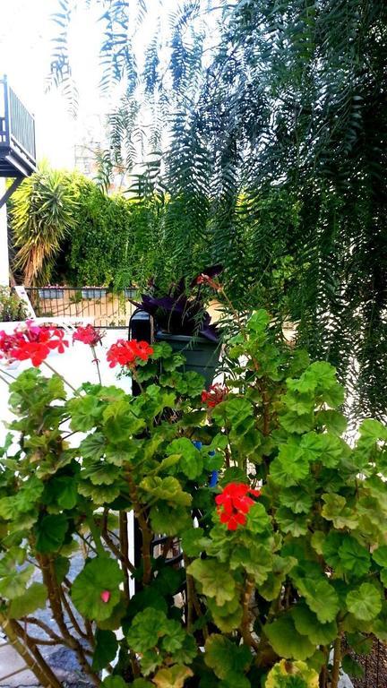 Emelce Apart Bodrum Buitenkant foto
