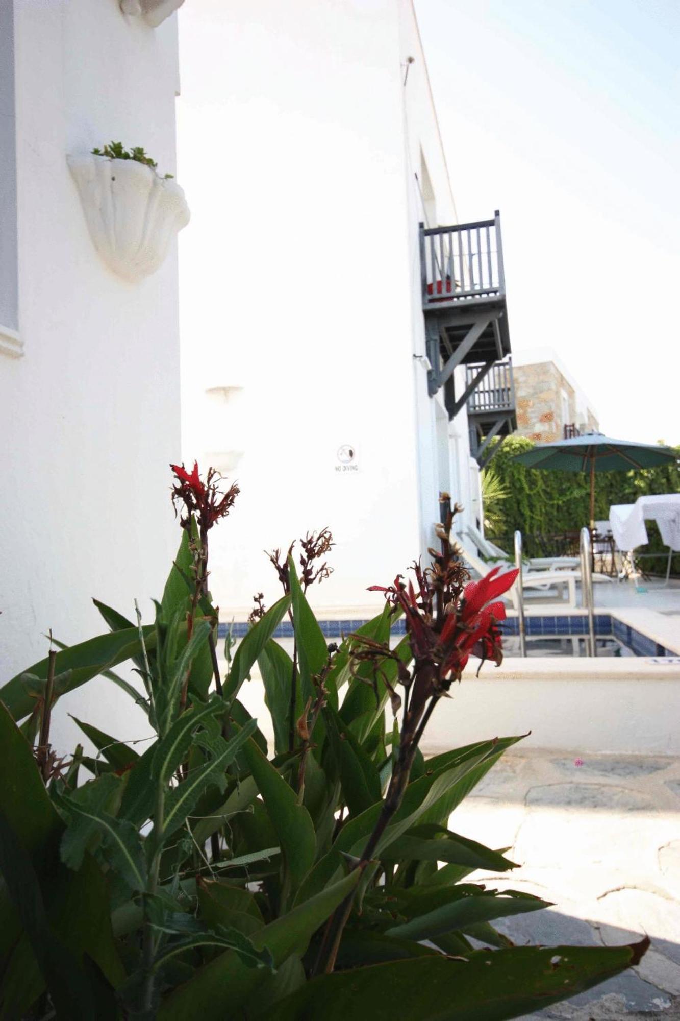 Emelce Apart Bodrum Buitenkant foto