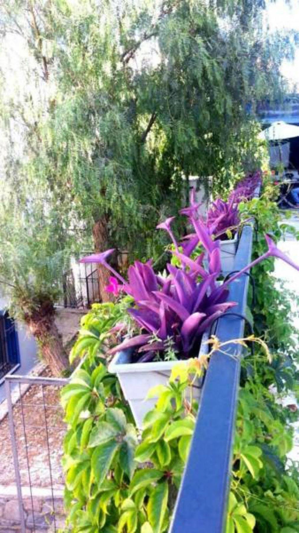 Emelce Apart Bodrum Buitenkant foto